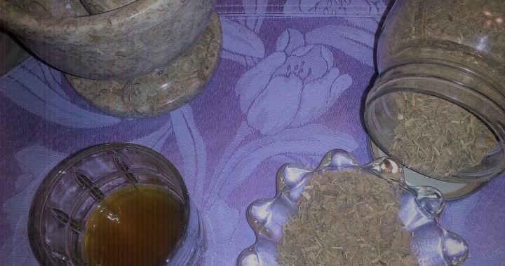 Essiac  Tea History