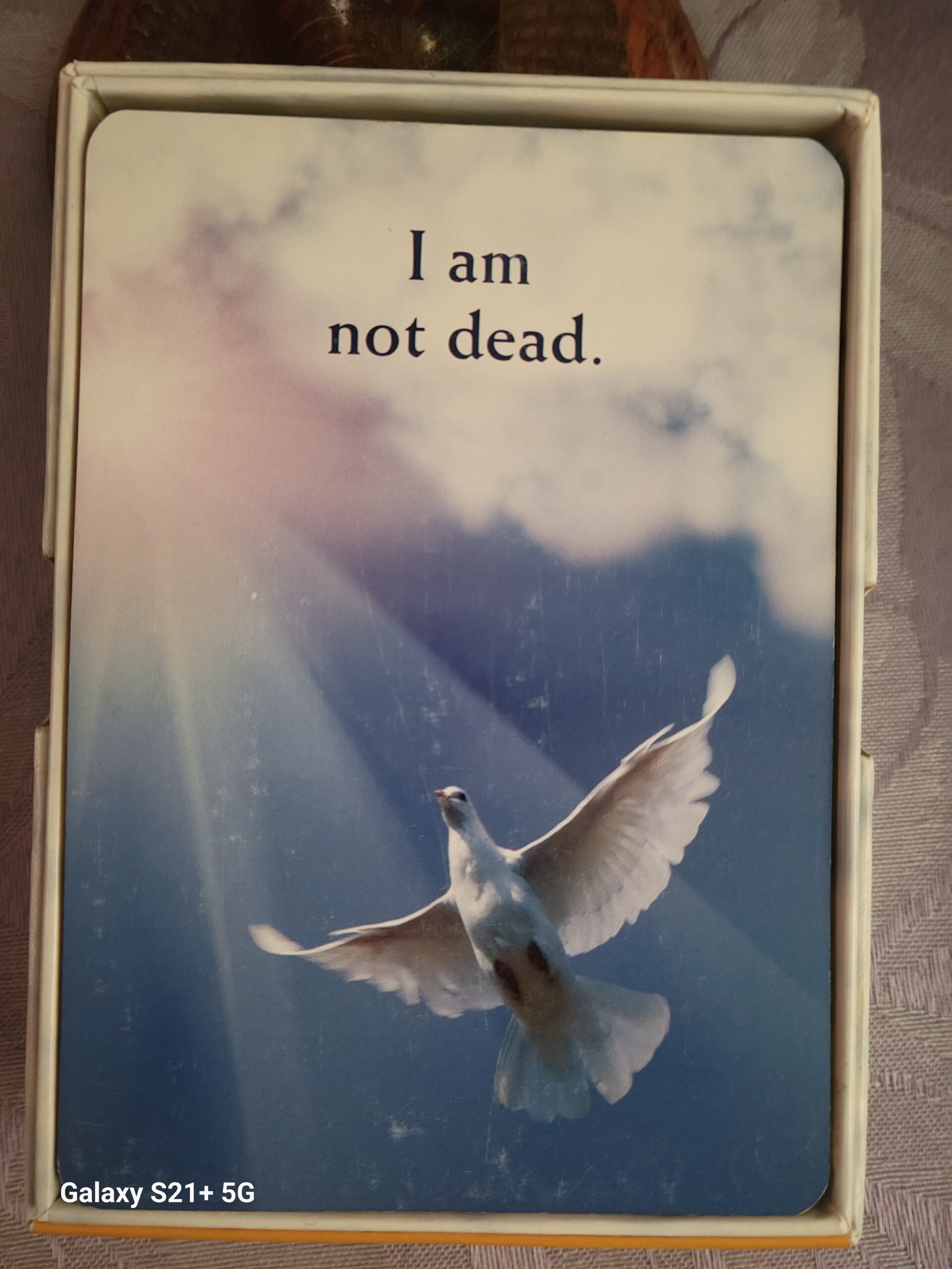 Daily Card Reading ~ I am not dead.