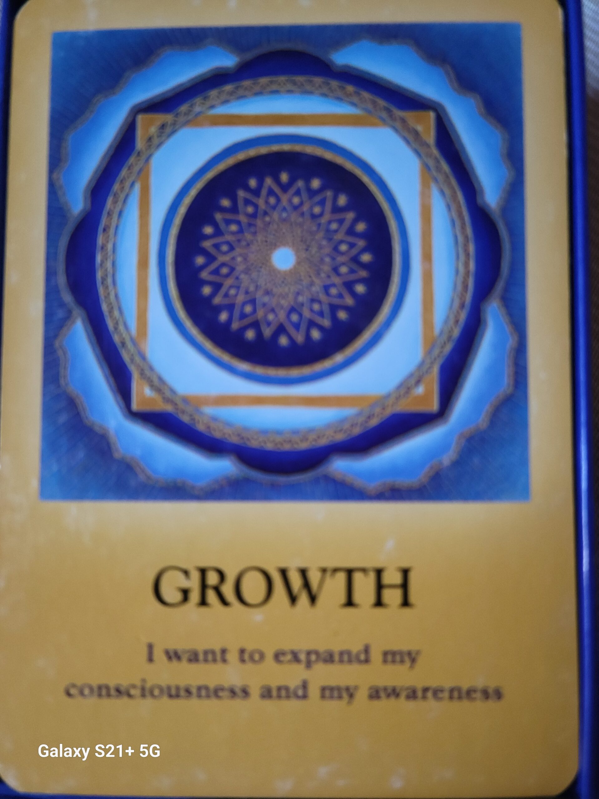 Daily Card Reading – Growth