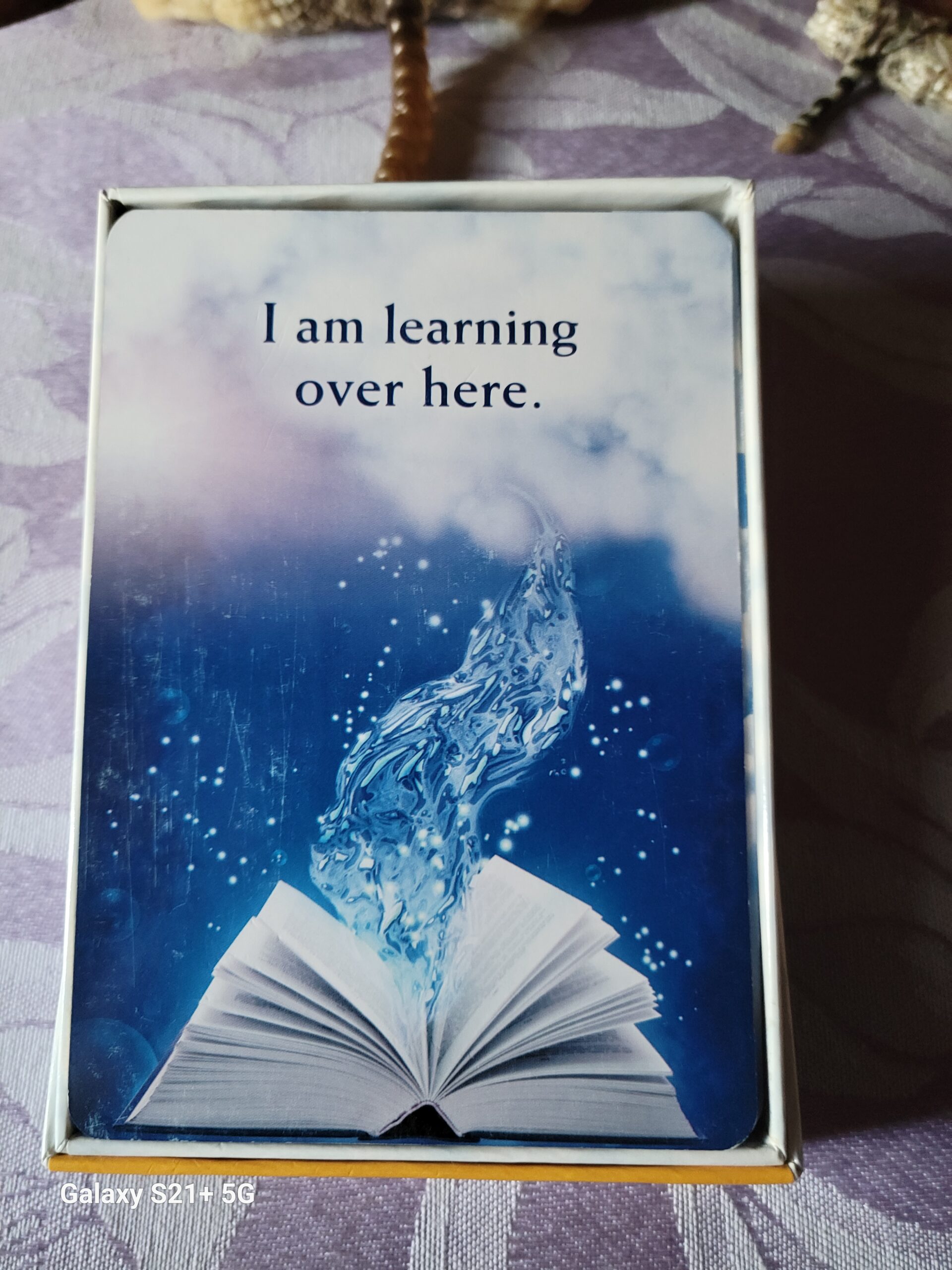 Daily Card Reading ~ I am learning over here.