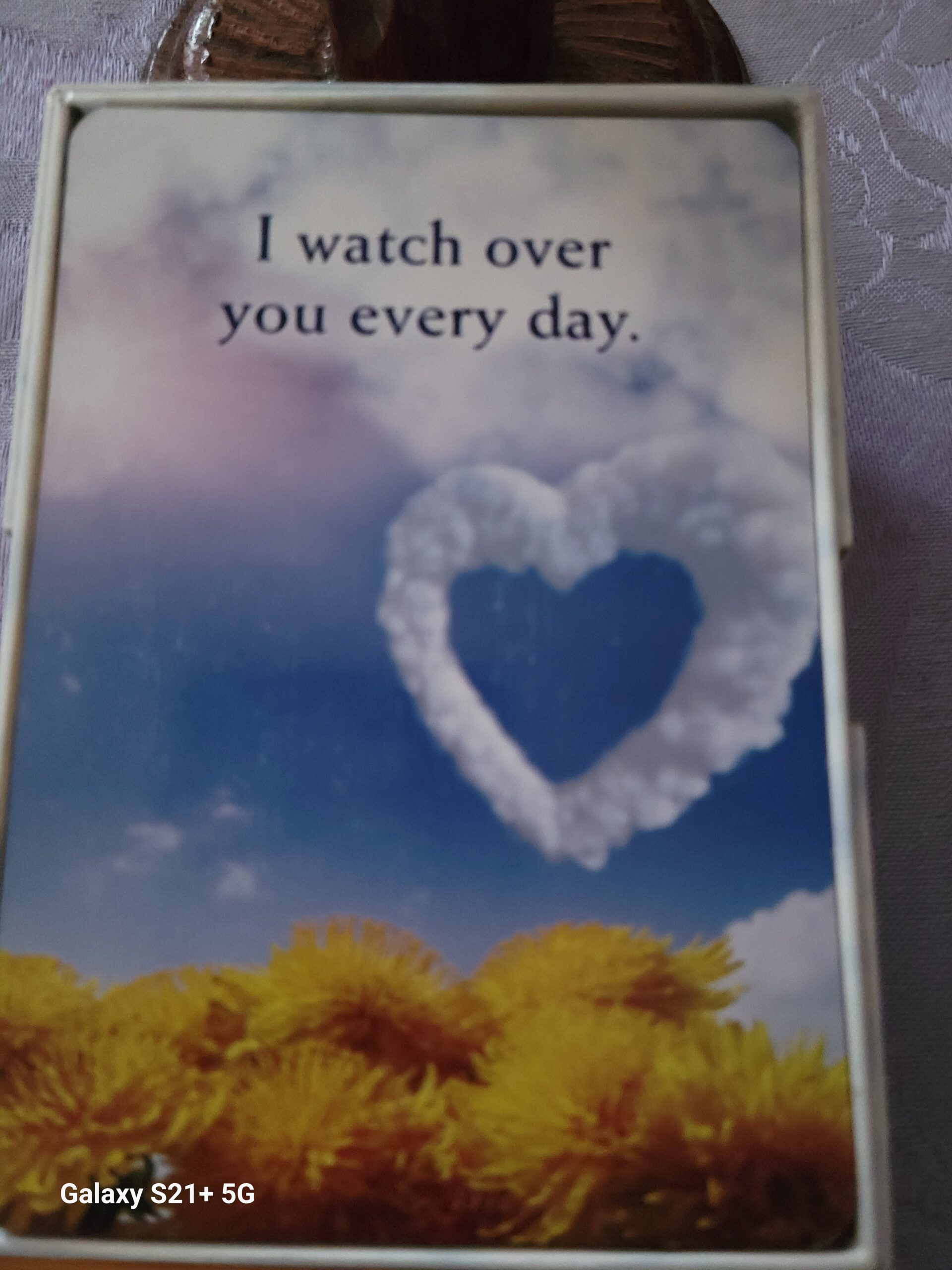 Daily Card Reading ~ I watch over you every day.