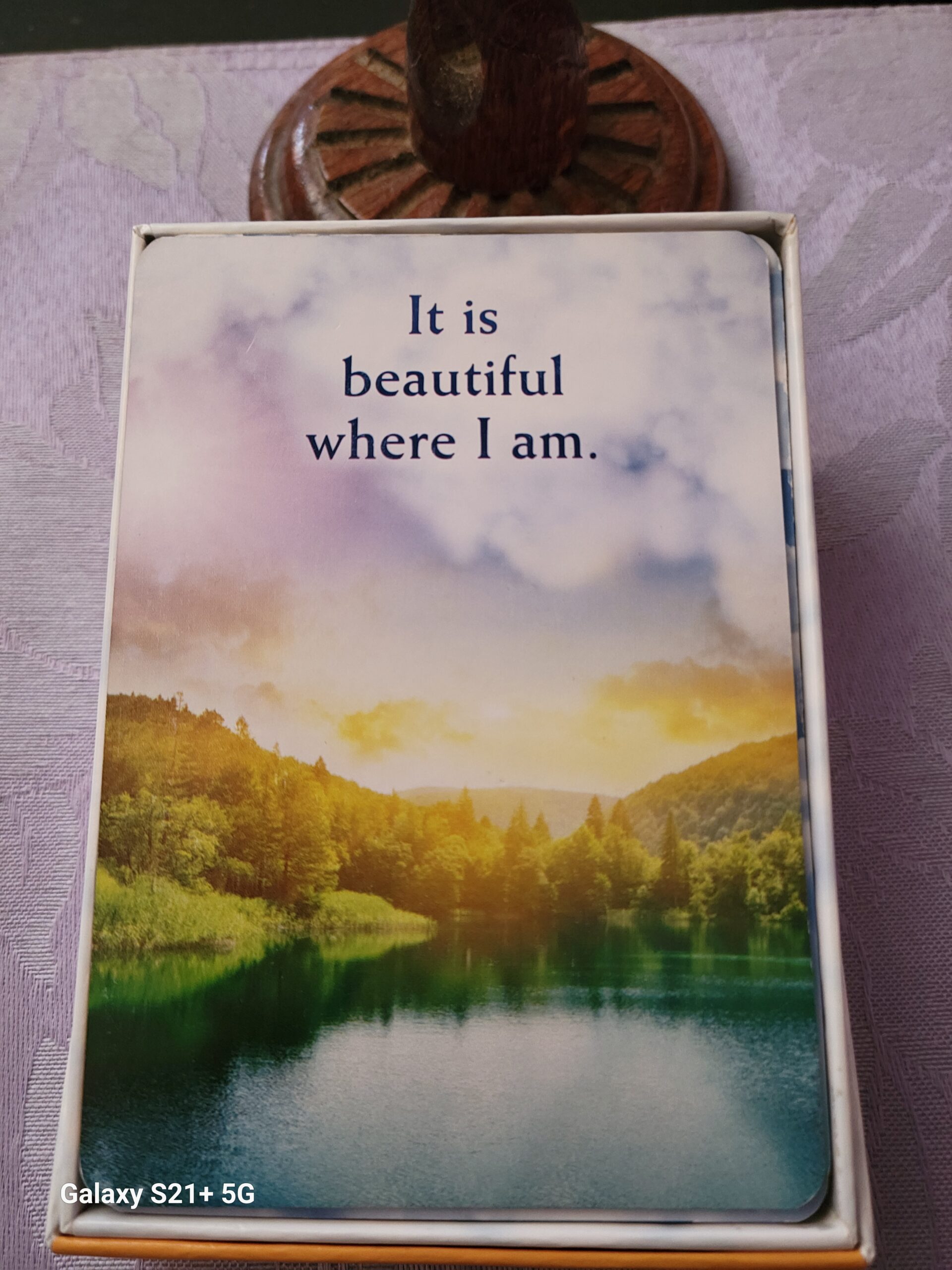 Daily Card Reading ~ It is beautiful where I am.