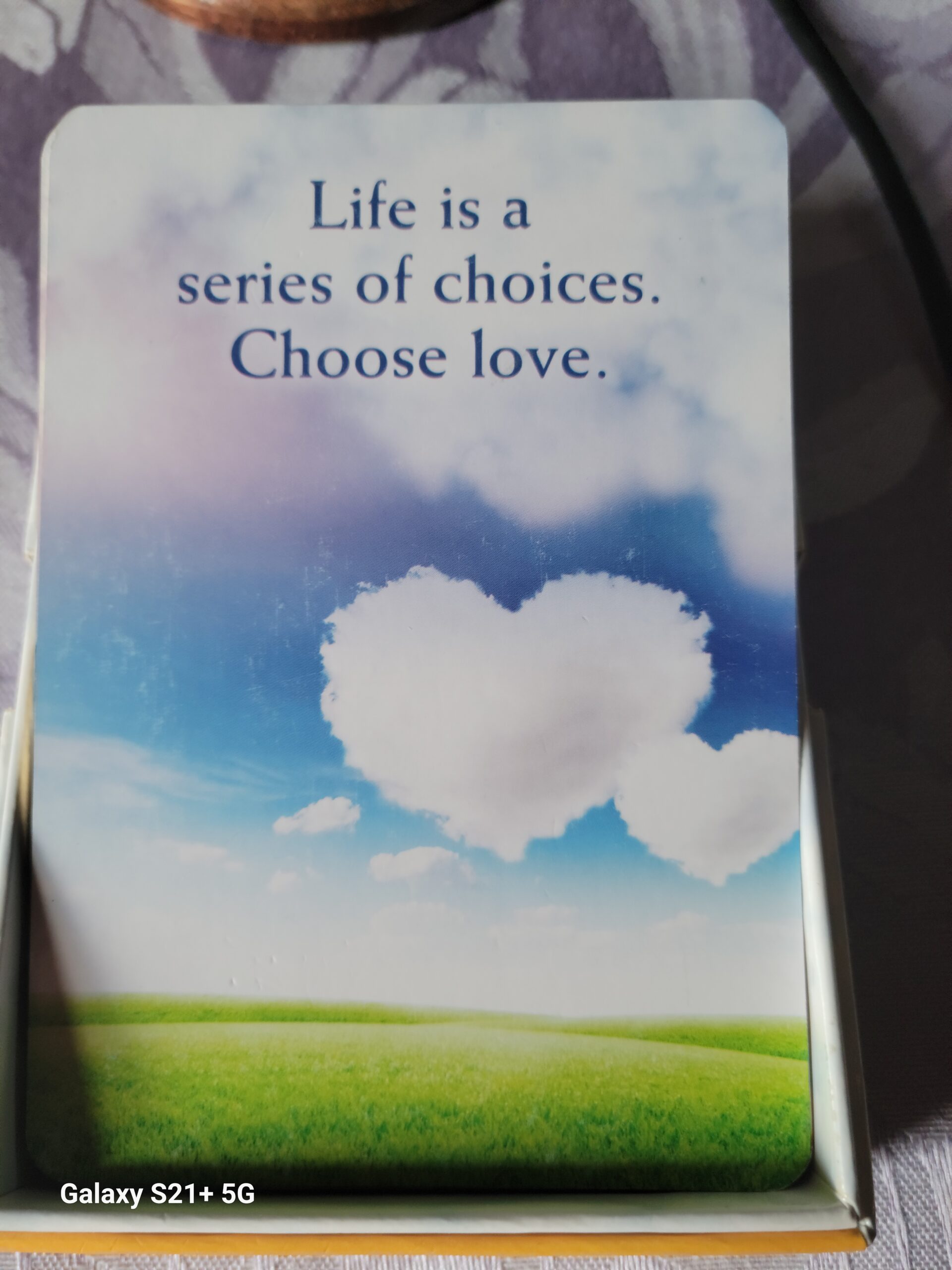 Daily Card Reading ~ Life is a series of choices. Choose love.