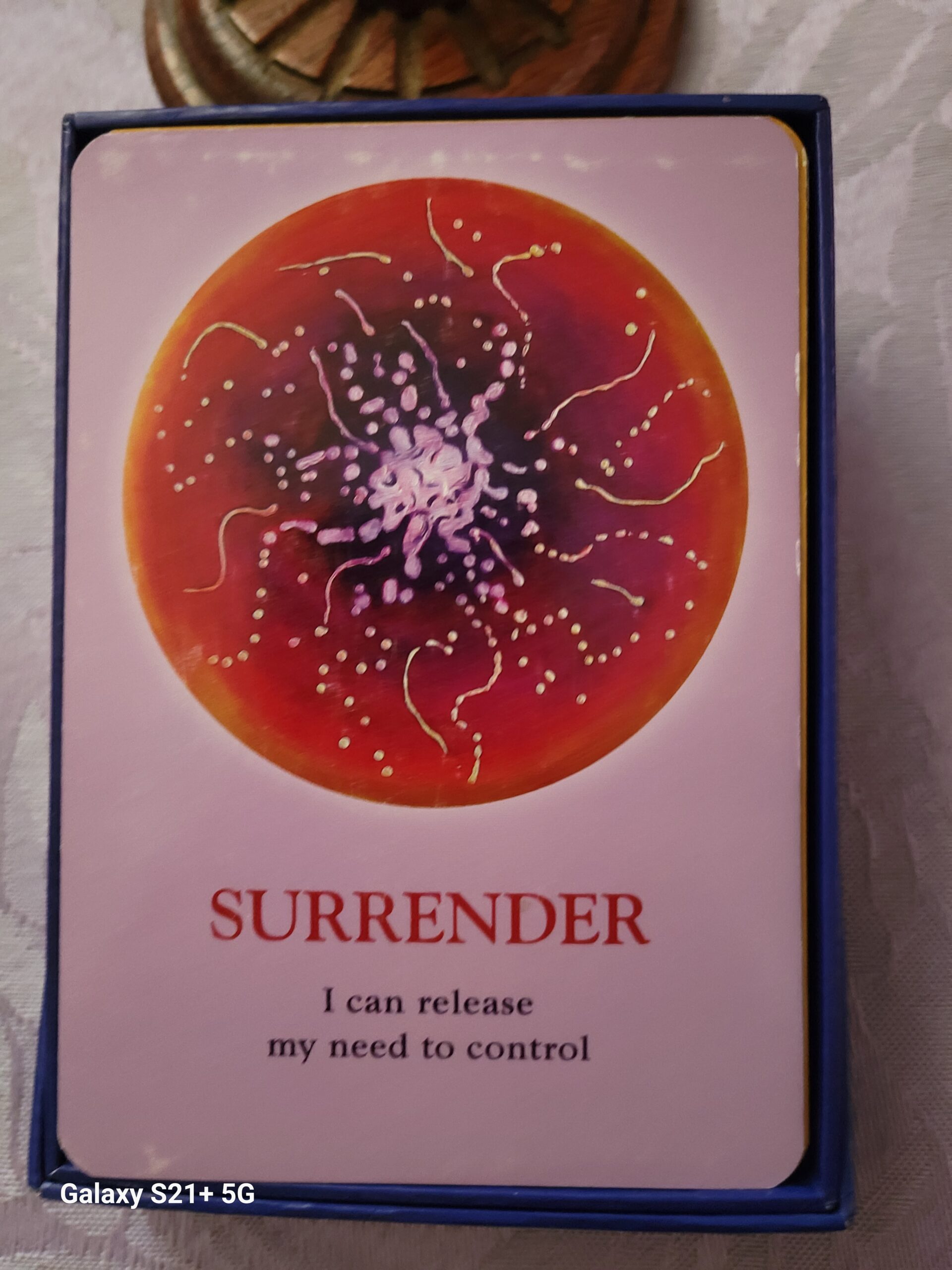 Daily Card Reading ~ Surrender