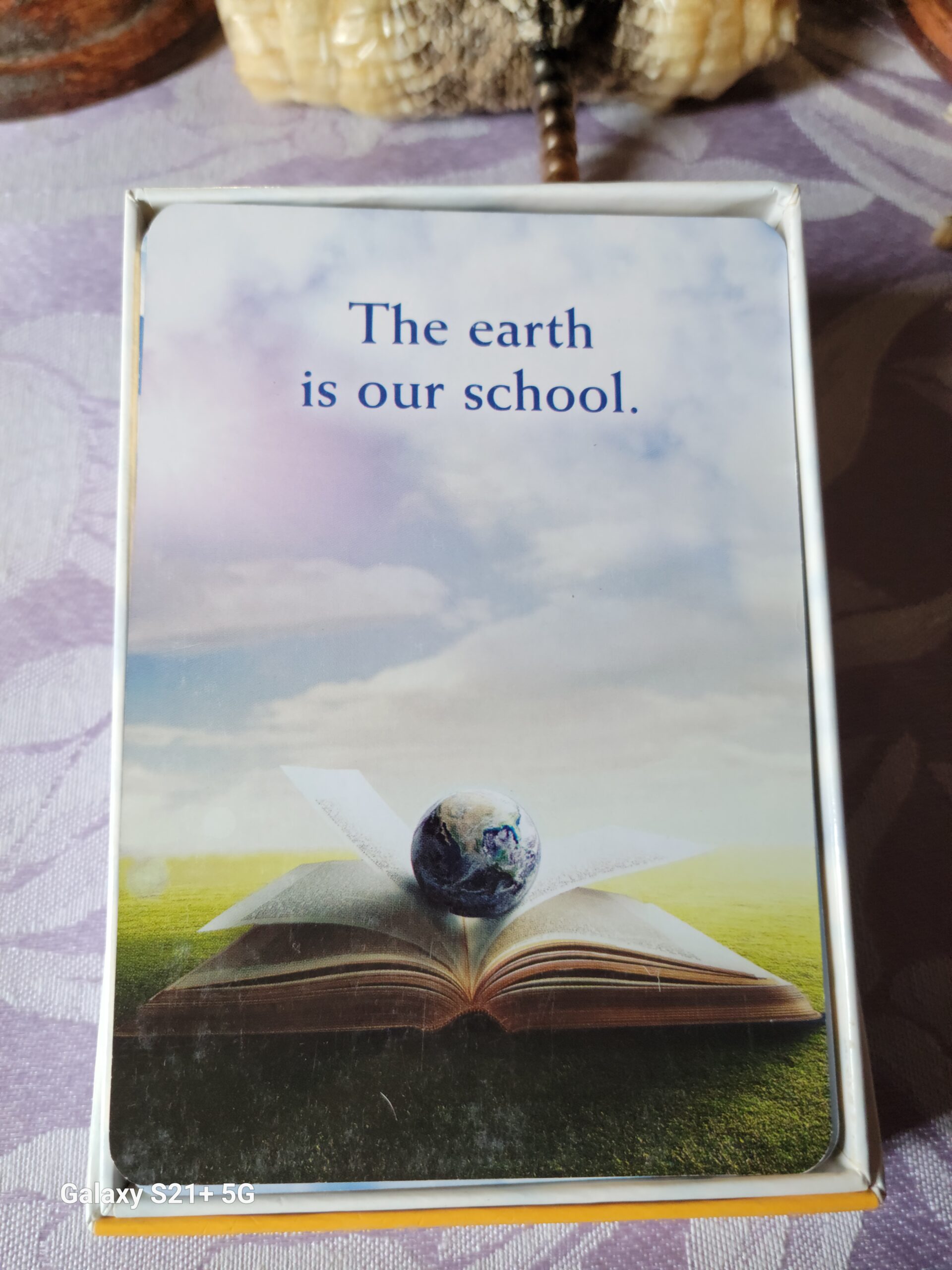 Daily Card Reading ~ The Earth is our school.