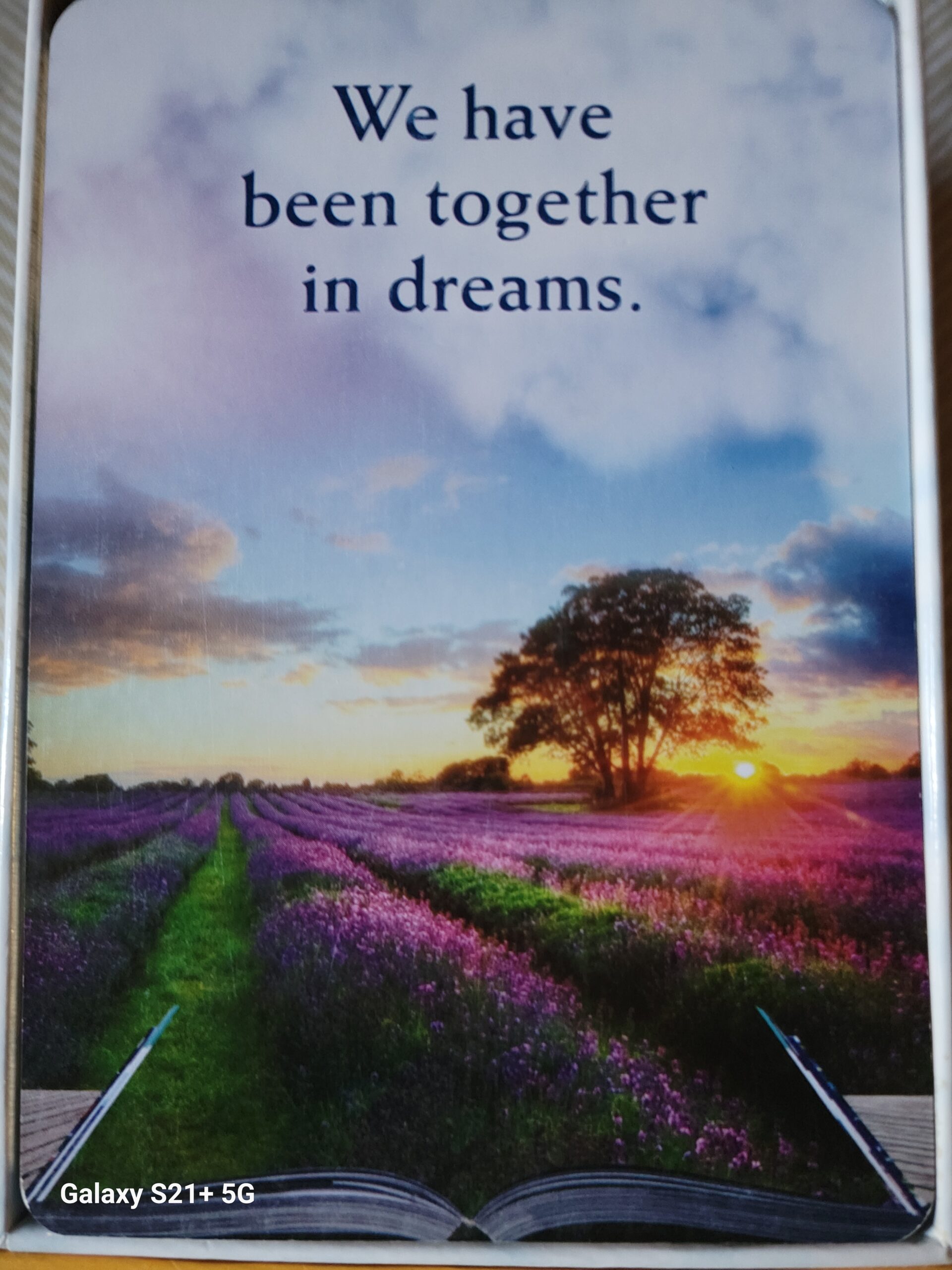 Daily Card Reading ~ We have been together in dreams.