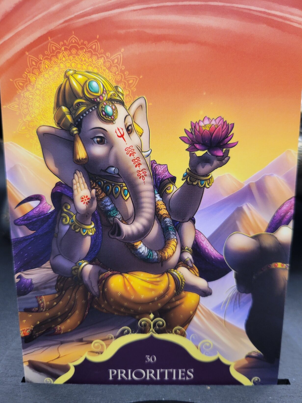 Daily Card Reading ~ Priorities