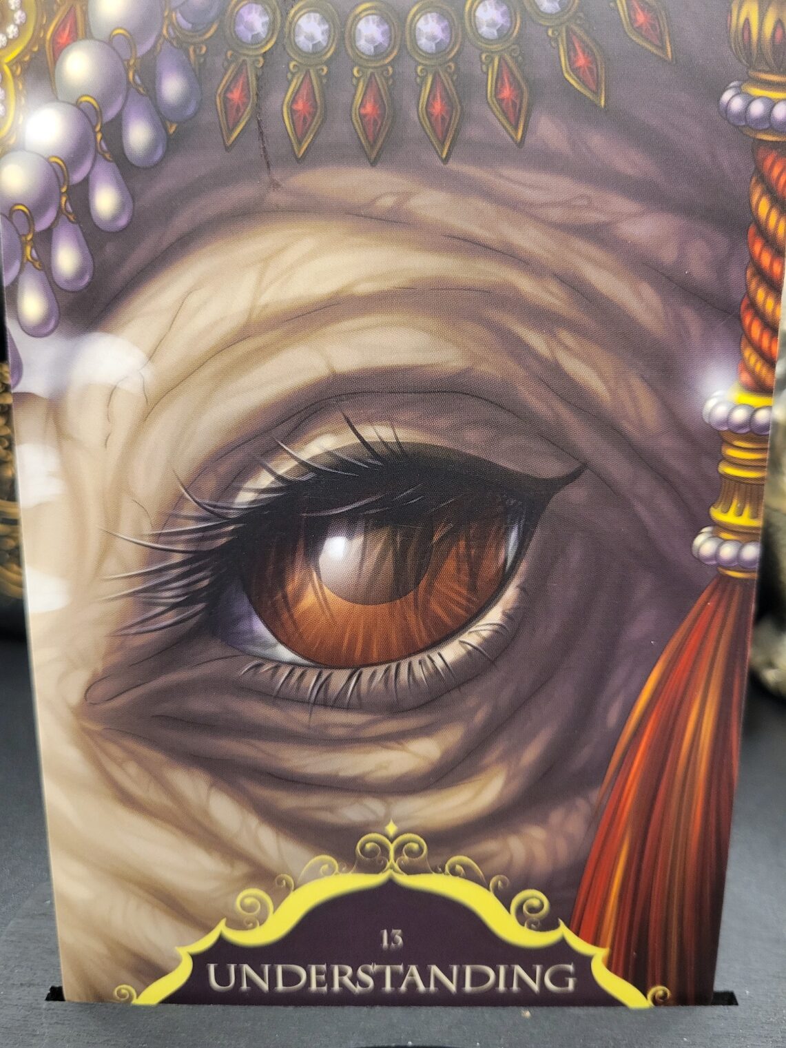 Daily Card Reading ~ Understanding