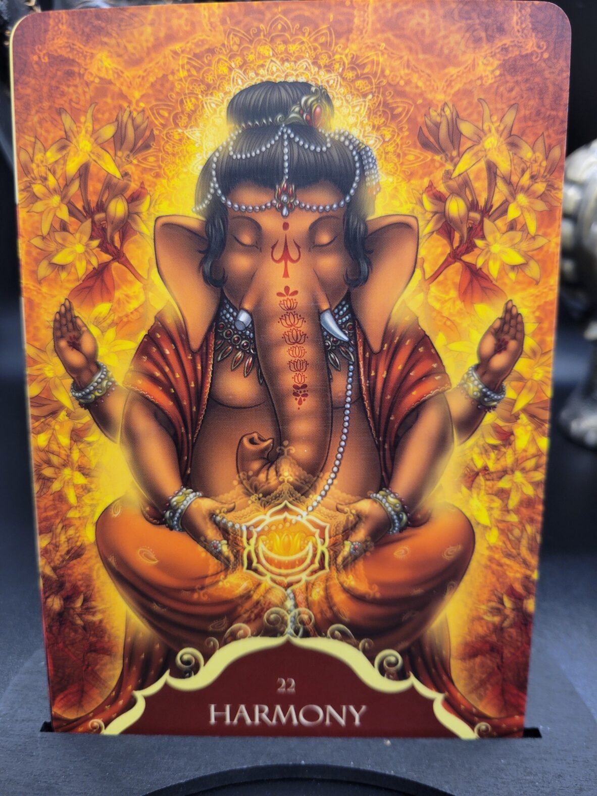 Daily Card Reading ~ Harmony