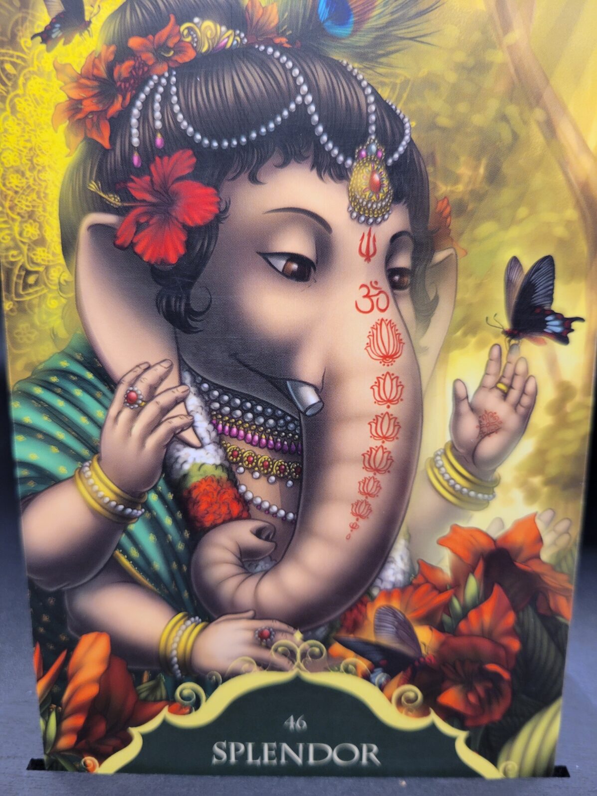 Daily Card Reading ~ Splendor