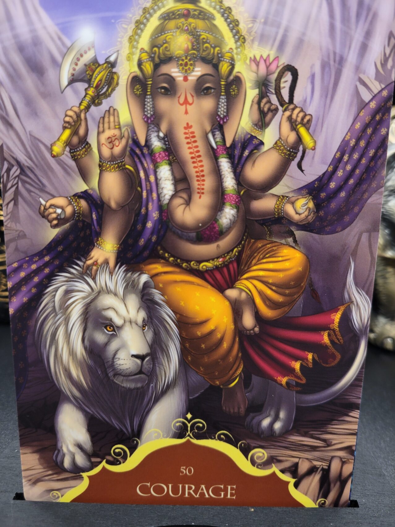 Daily Card Reading~ Courage