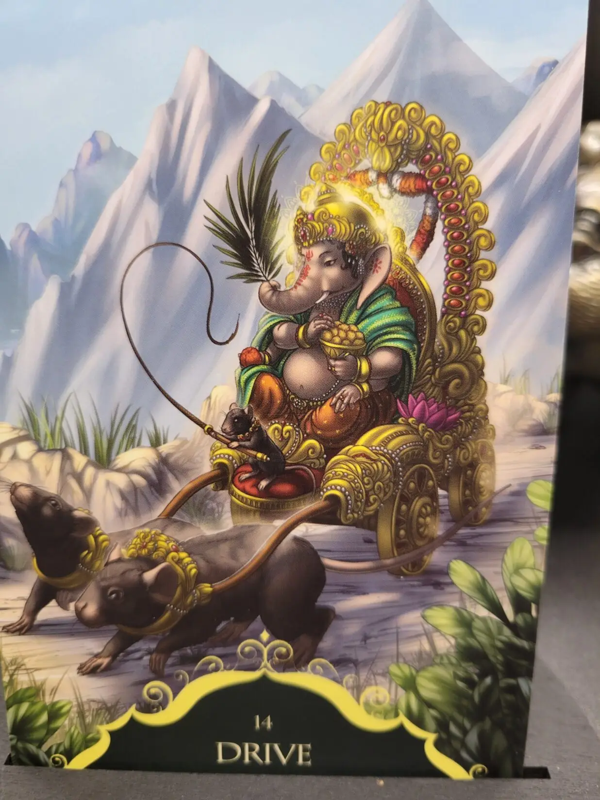 Daily Card Reading ~ Drive