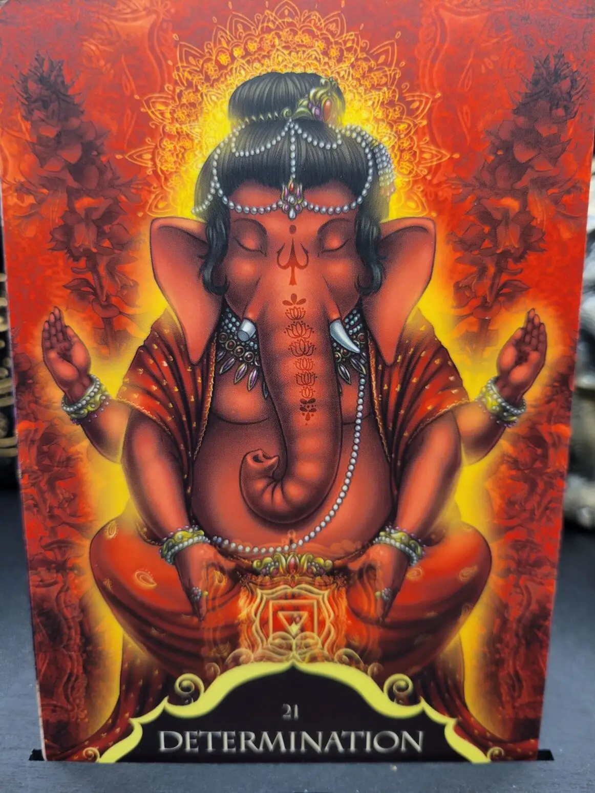 Daily Card Reading ~ Determination