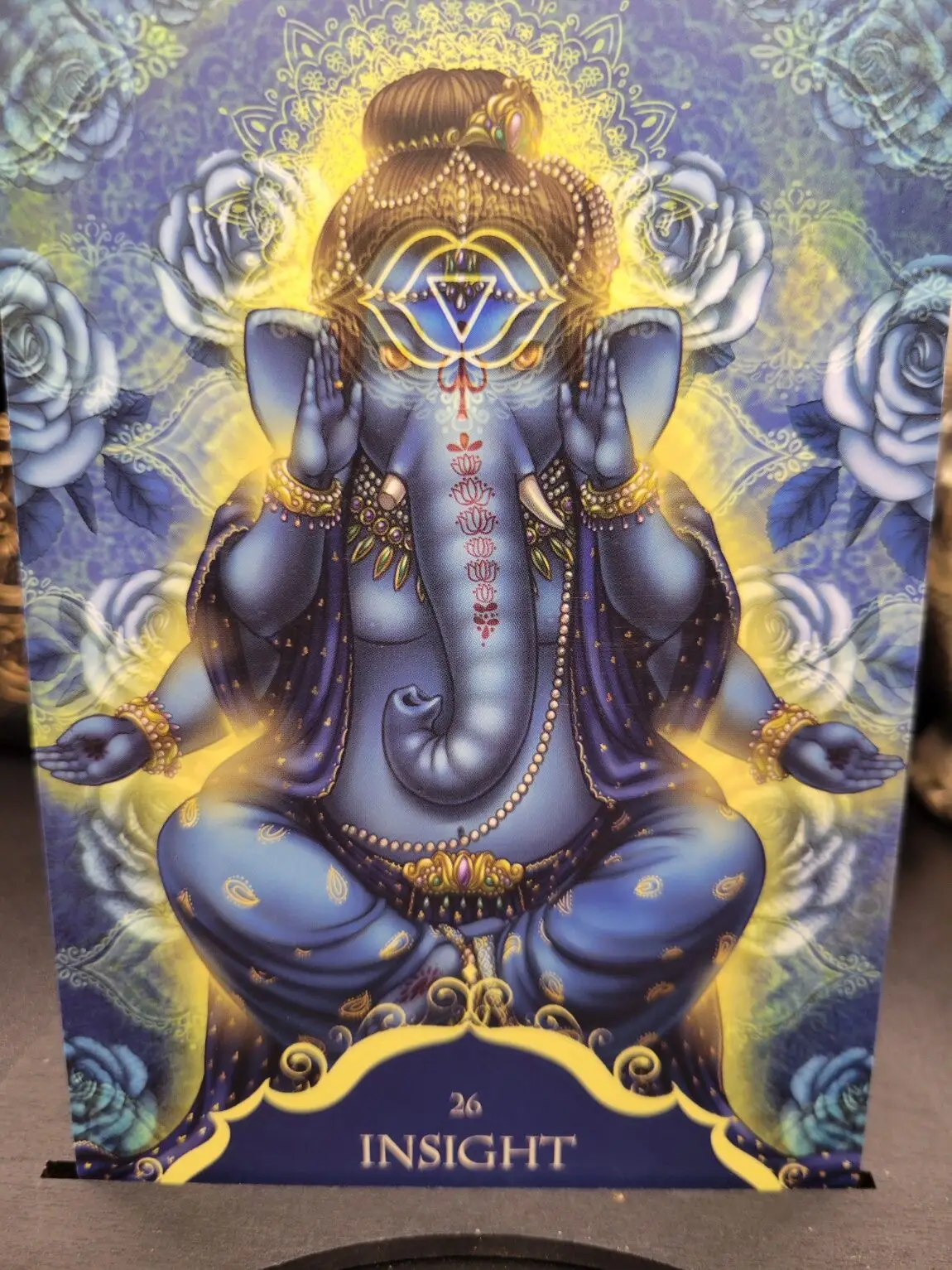 Daily Card Reading ~ Insight