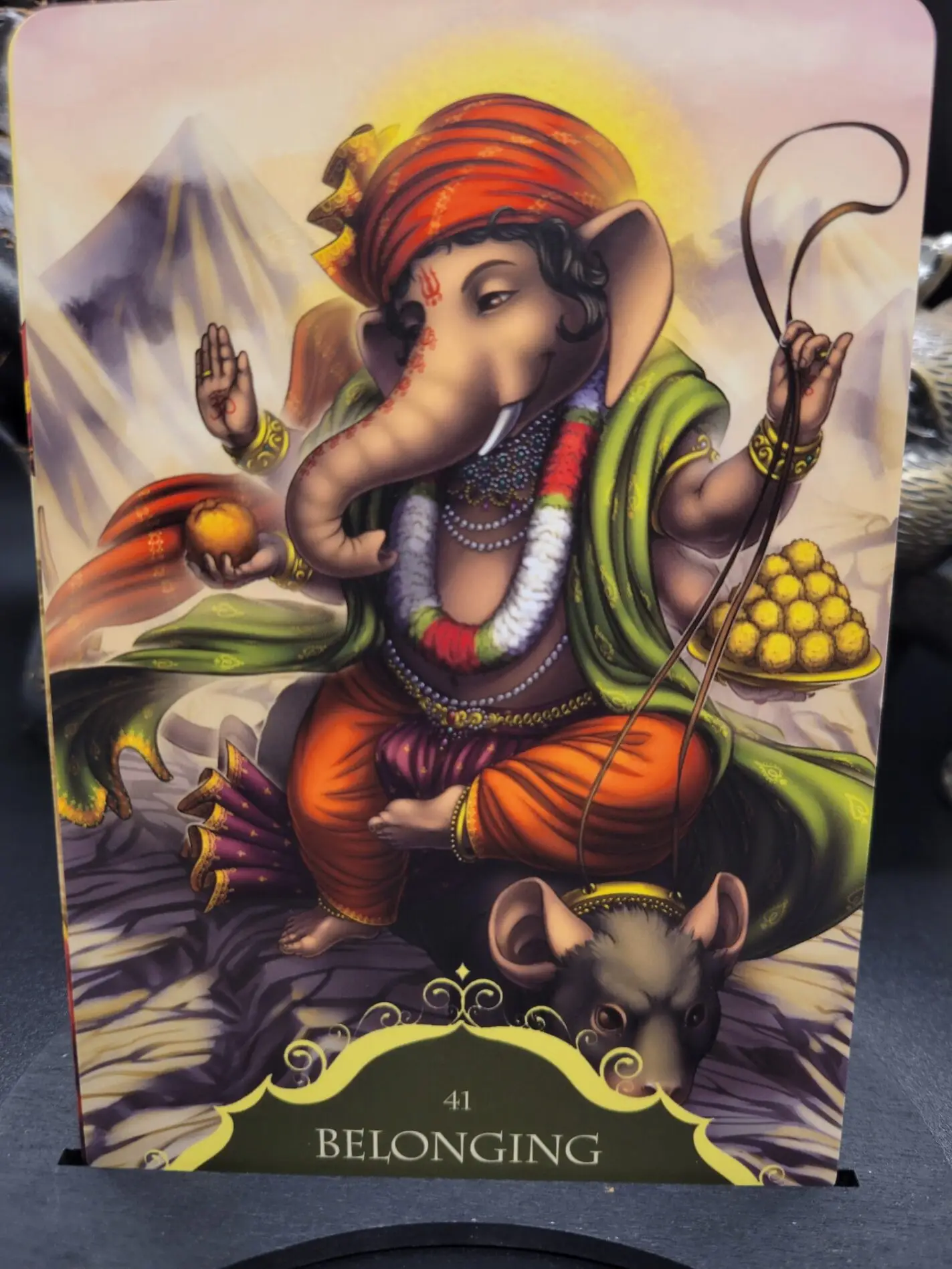 Daily Card Reading ~ Belonging